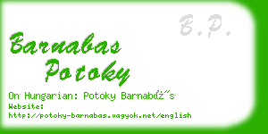 barnabas potoky business card